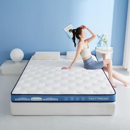 祁恋婷 2023新款A类牛奶丝乳胶记忆棉床垫【床垫遮盖物】 繁星-海因蓝