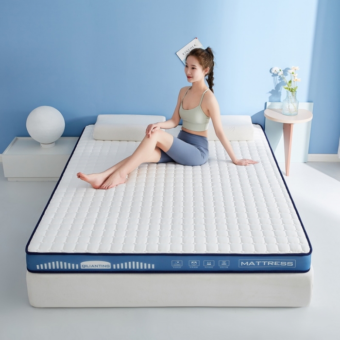 91家纺网 家纺一手货源 找家纺 祁恋婷 2023新款A类牛奶丝乳胶记忆棉床垫【床垫遮盖物】 几何-海因蓝