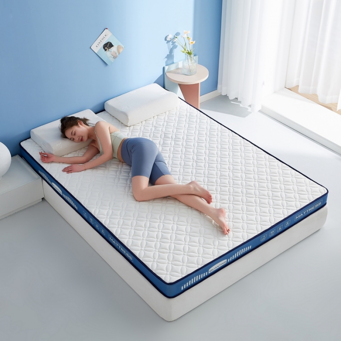 91家纺网 家纺一手货源 找家纺 祁恋婷 2023新款A类牛奶丝乳胶记忆棉床垫【床垫遮盖物】 四叶-海因蓝