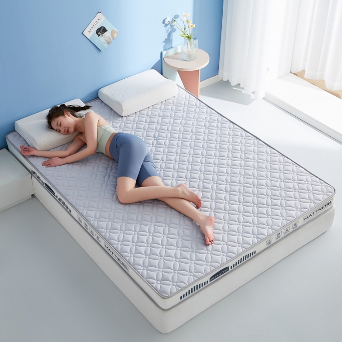 91家纺网 家纺一手货源 找家纺 祁恋婷 2023新款A类牛奶丝乳胶记忆棉床垫【床垫遮盖物】 四叶-烟墨灰