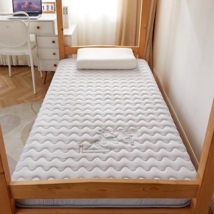 91家纺网 家纺一手货源 找家纺 （总）祁恋婷 2023新款牛奶丝大豆纤维刺绣-学生床垫【床垫遮盖物】