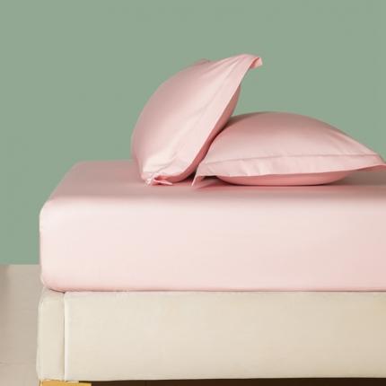 艾佳 2025新款50s长绒棉纯色单品枕套 珊瑚玉