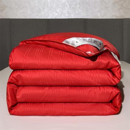 91家纺网 家纺一手货源 找家纺 （总）恒鑫 2025新款全棉提花桑蚕丝夏被春秋被冬被子母被被芯