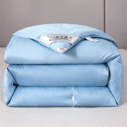 91家纺网 家纺一手货源 找家纺 （总）恒鑫 2025新款全棉提花桑蚕丝夏被春秋被冬被子母被被芯