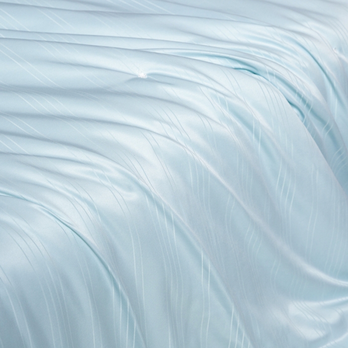 91家纺网 家纺一手货源 找家纺 恒鑫 2025新款全棉提花桑蚕丝夏被春秋被冬被子母被被芯 水草兰