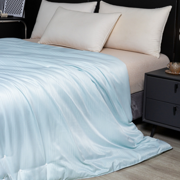 91家纺网 家纺一手货源 找家纺 恒鑫 2025新款全棉提花桑蚕丝夏被春秋被冬被子母被被芯 水草兰