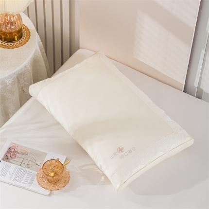 91家纺网 家纺一手货源 找家纺 (总) 其乐 2023新款韩式蛋白蕾丝枕头枕芯超30天不退不换