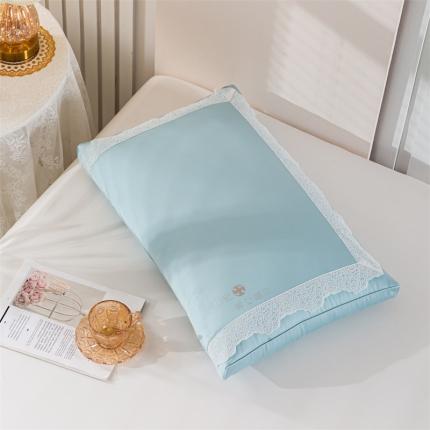 91家纺网 家纺一手货源 找家纺 其乐 2023新款韩式蛋白蕾丝枕头枕芯 天青