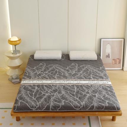 91家纺网 家纺一手货源 找家纺 （总）张先生2024印花大床双面藤席+床垫