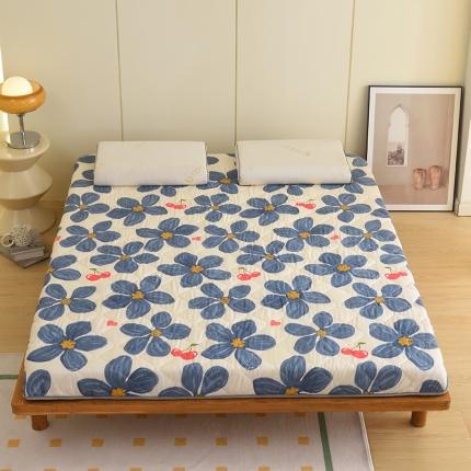 91家纺网 家纺一手货源 找家纺 （总）张先生2024印花大床双面藤席+床垫