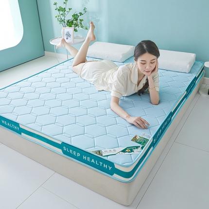 91家纺网 家纺一手货源 找家纺 （总）张先生2024牛奶丝针织立体乳胶记忆海绵床垫-成人大床