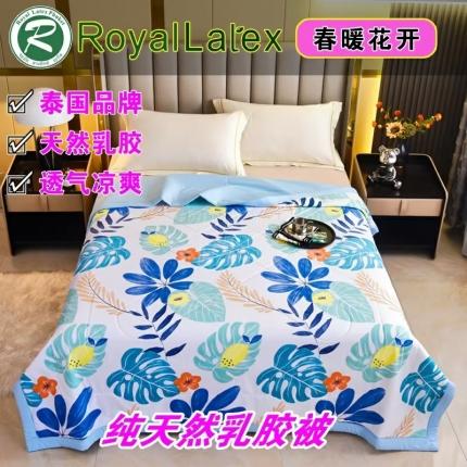 91家纺网 家纺一手货源 找家纺 （总）皇家乳胶体验馆 2023新款皇家三代水洗棉3D印花乳胶被