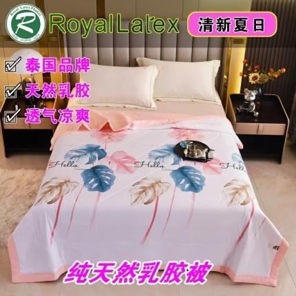 91家纺网 家纺一手货源 找家纺 （总）皇家乳胶体验馆 2023新款皇家三代水洗棉3D印花乳胶被