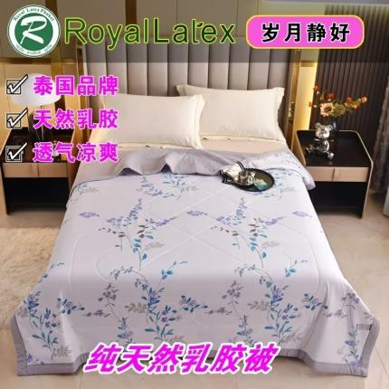 91家纺网 家纺一手货源 找家纺 （总）皇家乳胶体验馆 2023新款皇家三代水洗棉3D印花乳胶被