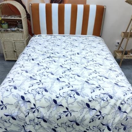 91家纺网 家纺一手货源 找家纺 爱她美 2023新款300g金貂绒系列加厚包边法莱绒盖毯毛毯子空谷幽兰