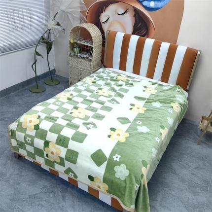 91家纺网 家纺一手货源 找家纺 爱她美 2023新款300g金貂绒系列加厚包边法莱绒盖毯毛毯子绿意盎然