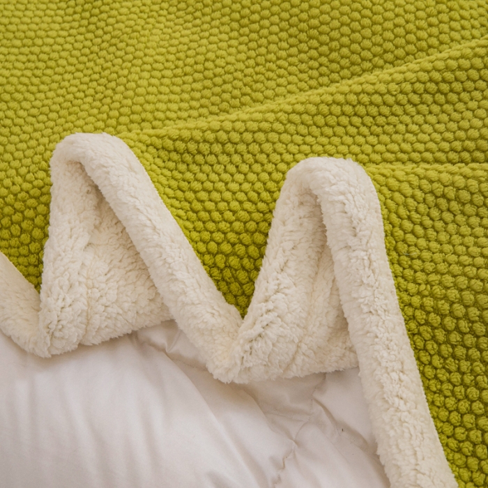 91家纺网 家纺一手货源 找家纺 卡琪曼 2023新款玫瑰绒毯子毛毯盖毯 绿色