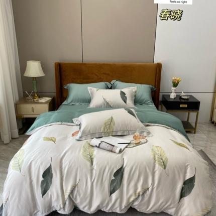 91家纺网 家纺一手货源 找家纺 顾家家居 2023新款80兰精天丝四件套 春晓