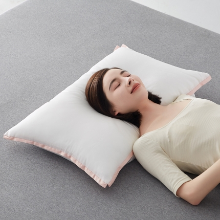 91家纺网 家纺一手货源 找家纺 （总）乐可 2023新款真丝蛋白蚕蛹枕 枕头枕芯