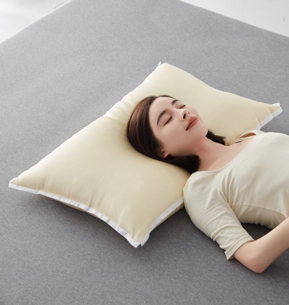 91家纺网 家纺一手货源 找家纺 （总）乐可 2023新款真丝蛋白蚕蛹枕 枕头枕芯