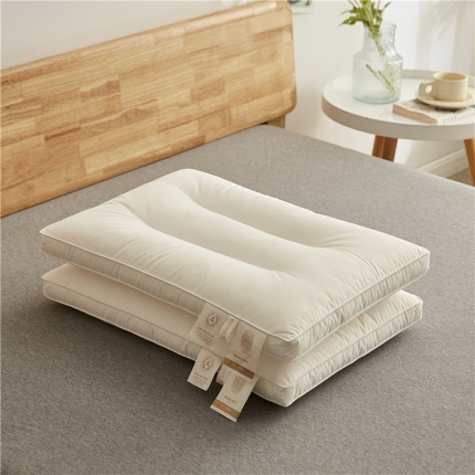 91家纺网 家纺一手货源 找家纺 （总）乐可 2023新款A类全棉蚕咝枕 枕头枕芯