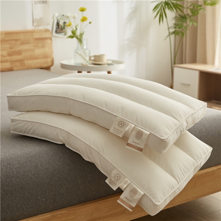 91家纺网 家纺一手货源 找家纺 （总）乐可 2023新款A类全棉蚕咝枕 枕头枕芯