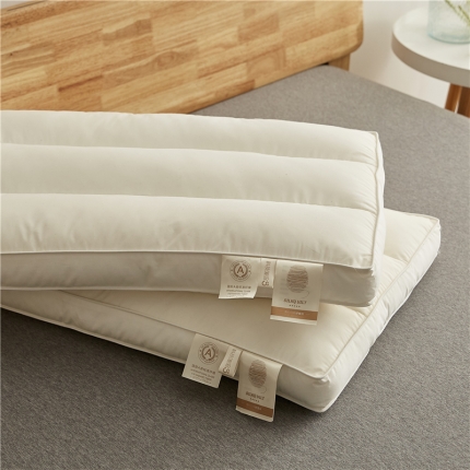 91家纺网 家纺一手货源 找家纺 （总）乐可 2023新款A类全棉蚕咝枕 枕头枕芯