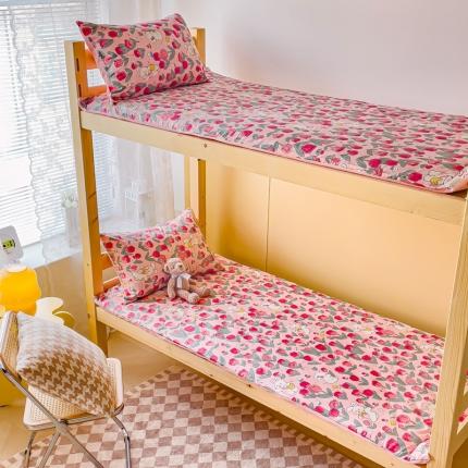 91家纺网 家纺一手货源 找家纺 （总）金丝鸟 2023新款全棉加水晶绒棉加绒床垫套