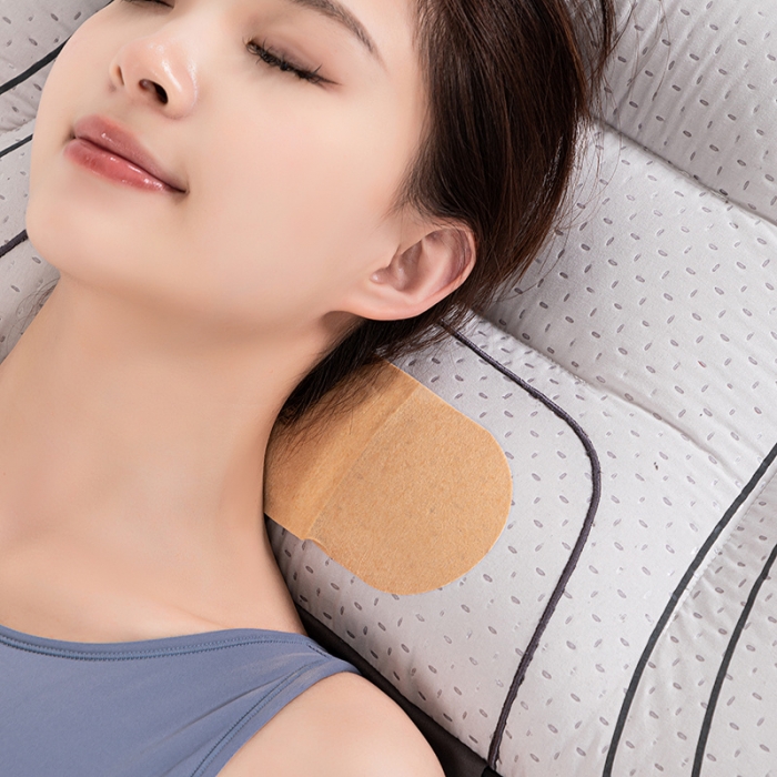 91家纺网 家纺一手货源 找家纺 （总）莱福仕 2023新款热艾1号-颈椎深养气垫枕