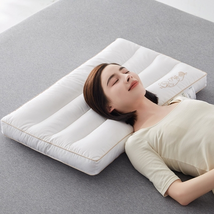 91家纺网 家纺一手货源 找家纺 （总）乐可 2023新款全棉低平蚕咝枕 枕头枕芯