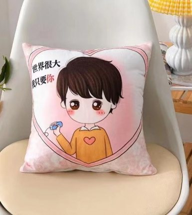 91家纺网 家纺一手货源 找家纺 （总）拾光枕芯 2023新款跑量抱枕直播爆款赠品送人（来样定做）