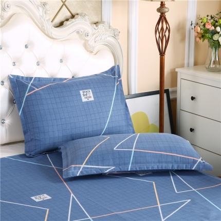 91家纺网 家纺一手货源 找家纺 （总）鑫缘 2025新款印花植物羊绒加厚磨毛单枕套