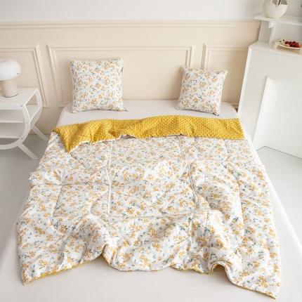 91家纺网 家纺一手货源 找家纺 （总）翰轩家居 2023新款全棉印花小清新豆豆绒抱枕被