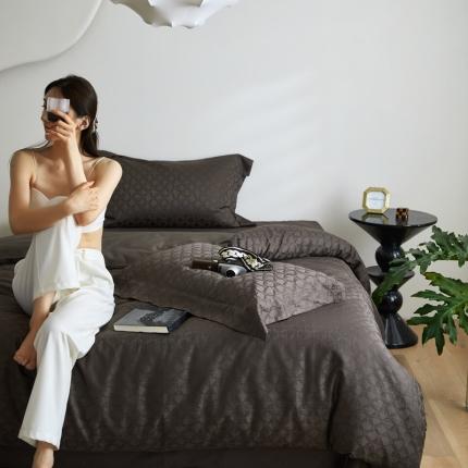 安莱生活 2023爆款100S纯棉提花轻工艺刺绣系列四件套 轻工艺刺绣-叠影深灰