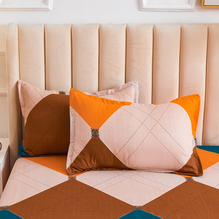 91家纺网 家纺一手货源 找家纺 鑫缘 2025新款印花植物羊绒加厚磨毛单被套 时代广场