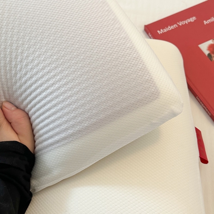 91家纺网 家纺一手货源 找家纺 （总）伟邦 2023新款红石榴多福凝胶记忆枕