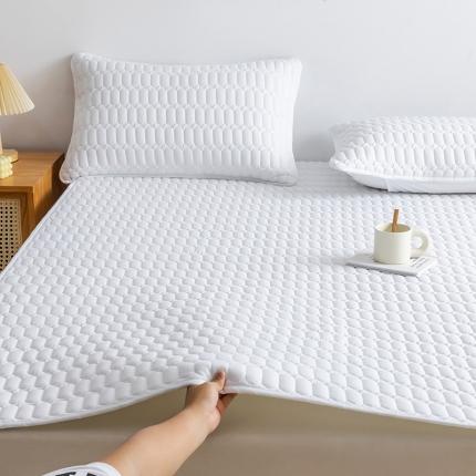 91家纺网 家纺一手货源 找家纺 （总）恩和 2024新款防水床笠夹棉床垫床褥素色简约款