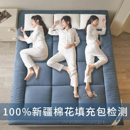 91家纺网 家纺一手货源 找家纺 千百笠 2023新款新疆棉花万针刺绣床垫垫被软垫棉花垫被褥棉絮淳朴-蓝