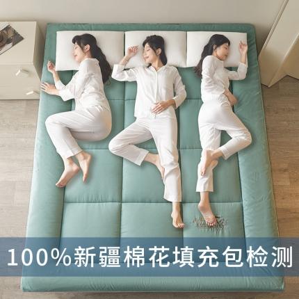 91家纺网 家纺一手货源 找家纺 千百笠 2023新款新疆棉花万针刺绣床垫垫被软垫棉花垫被褥棉絮淳朴-绿