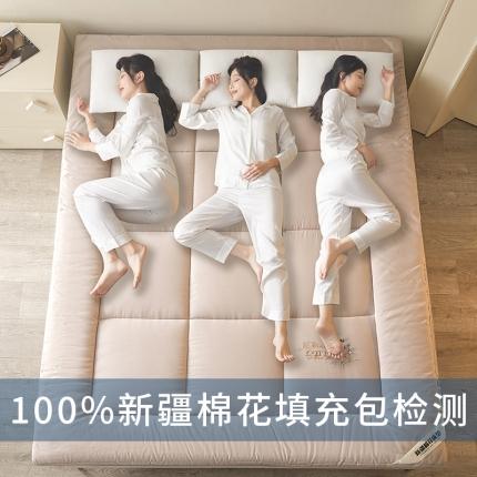 91家纺网 家纺一手货源 找家纺 千百笠 2023新款新疆棉花万针刺绣床垫垫被软垫棉花垫被褥棉絮淳朴-驼