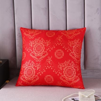 91家纺网 家纺一手货源 找家纺 (总) 新款磨毛大红枕头枕芯护颈枕方垫芯