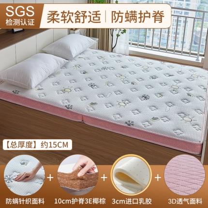 时奥 2023新款儿童款双人棕垫 10分棕+3分乳胶(15cm）粉