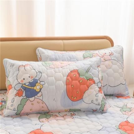 91家纺网 家纺一手货源 找家纺 （总）九亭2023新款A类纯棉防油防汗防口水家用枕套