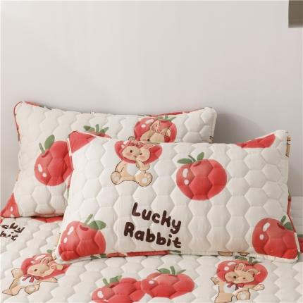 91家纺网 家纺一手货源 找家纺 （总）九亭2023新款A类纯棉防油防汗防口水家用枕套