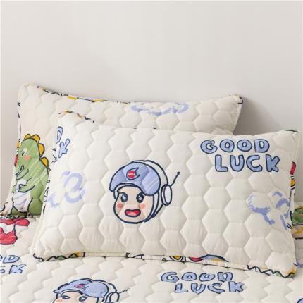 91家纺网 家纺一手货源 找家纺 （总）九亭2023新款A类纯棉防油防汗防口水家用枕套