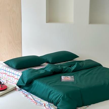 91家纺网 家纺一手货源 找家纺 赫帛 2023新款50s缎纹数码印花四件套甜甜派 BV绿