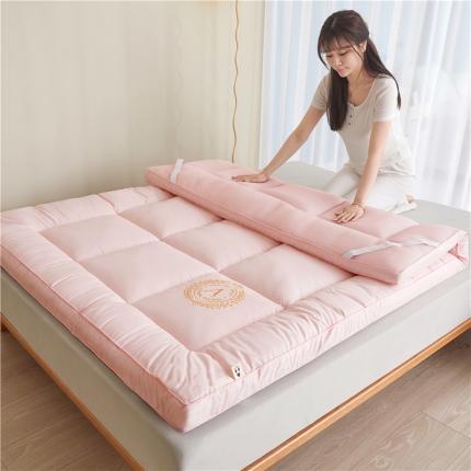 91家纺网 家纺一手货源 找家纺 （总）美梦里 2023新款A类酒店风抗菌软垫床垫