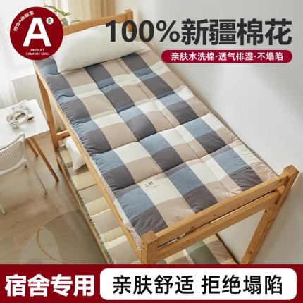 （总）暖阳 2023新款A类新疆棉花学生宿舍床垫