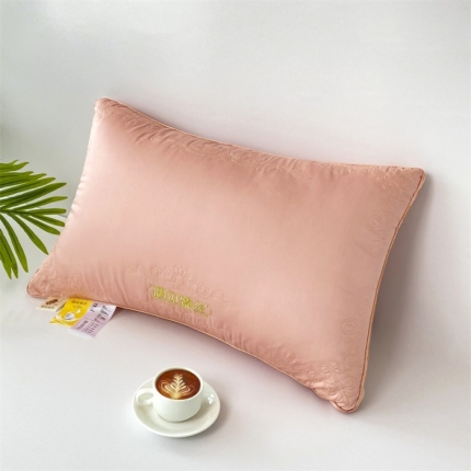 91家纺网 家纺一手货源 找家纺 拾光枕芯 2023新款刺绣三维立体莫代尔枕 玉色