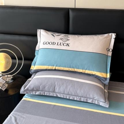 91家纺网 家纺一手货源 找家纺 （总）莱通 新款喷气磨毛单枕套